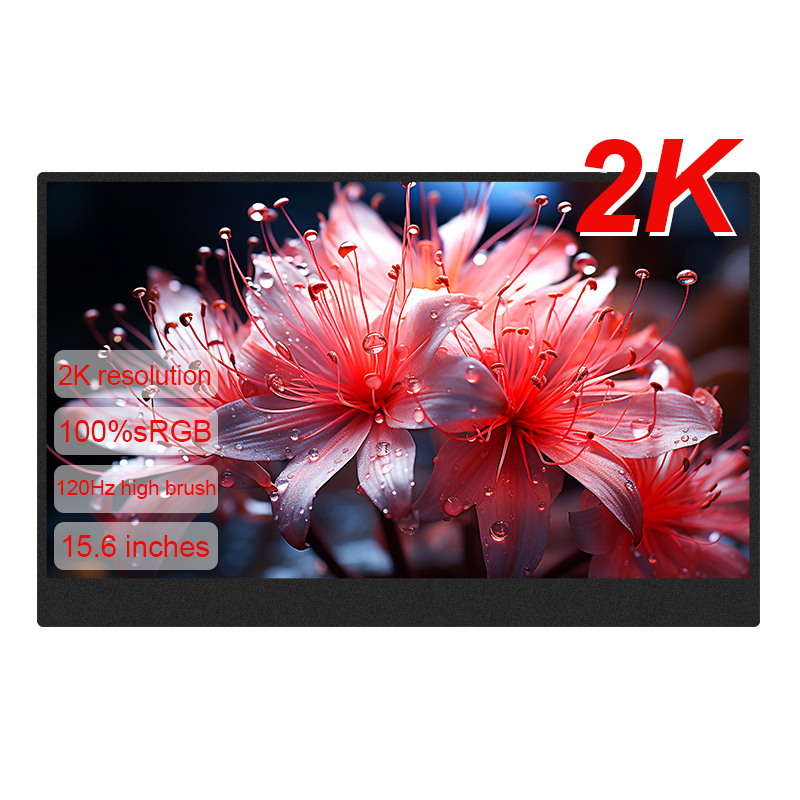 LANLIPU 15.6inch Portable Moni - Pc Zotac Gaming 评论和价格