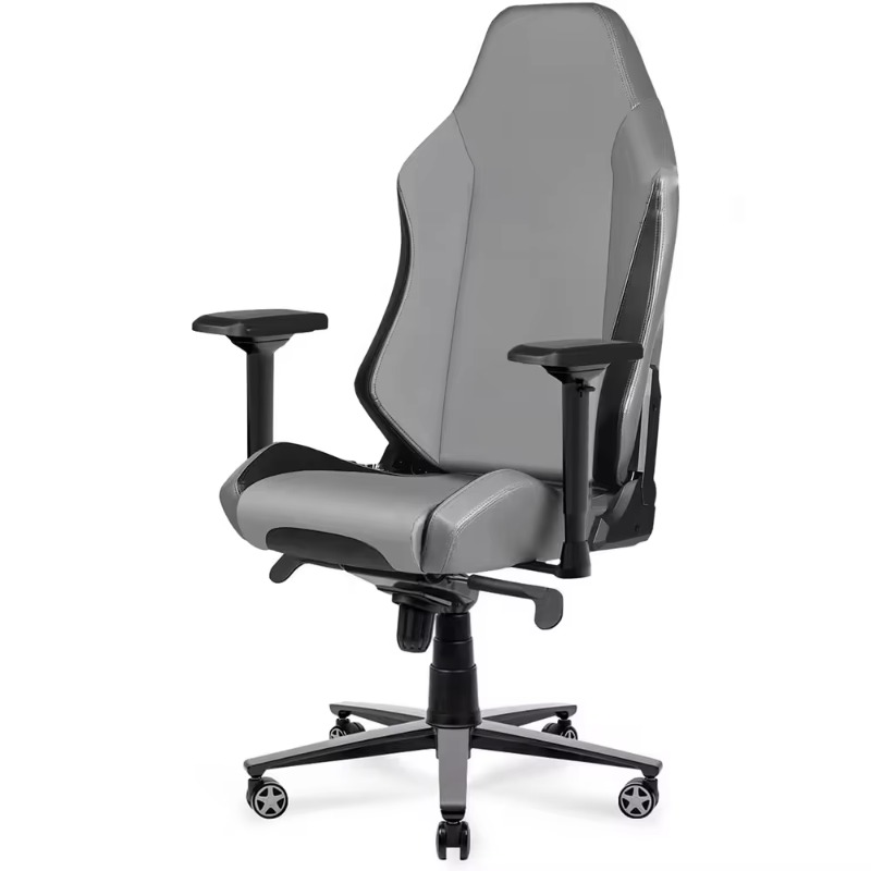 Gaming Chairs Computer Gamer C - Pc Gaming Game 评论和价格